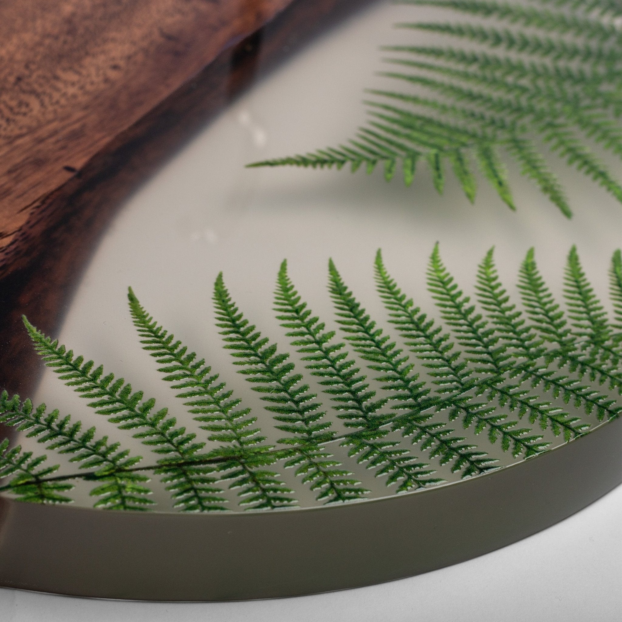 Botanical Acacia Hook & Ring Game - EGHRCRLE-18 | Elakai Outdoor
#color_fern