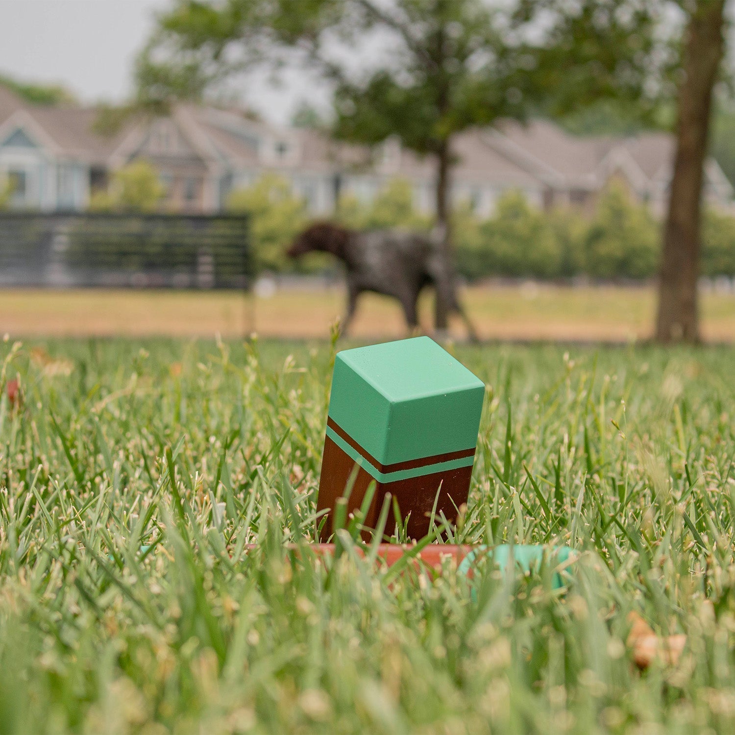 Kubb Around the World: How Different Cultures Play the Game - Elakai Outdoor