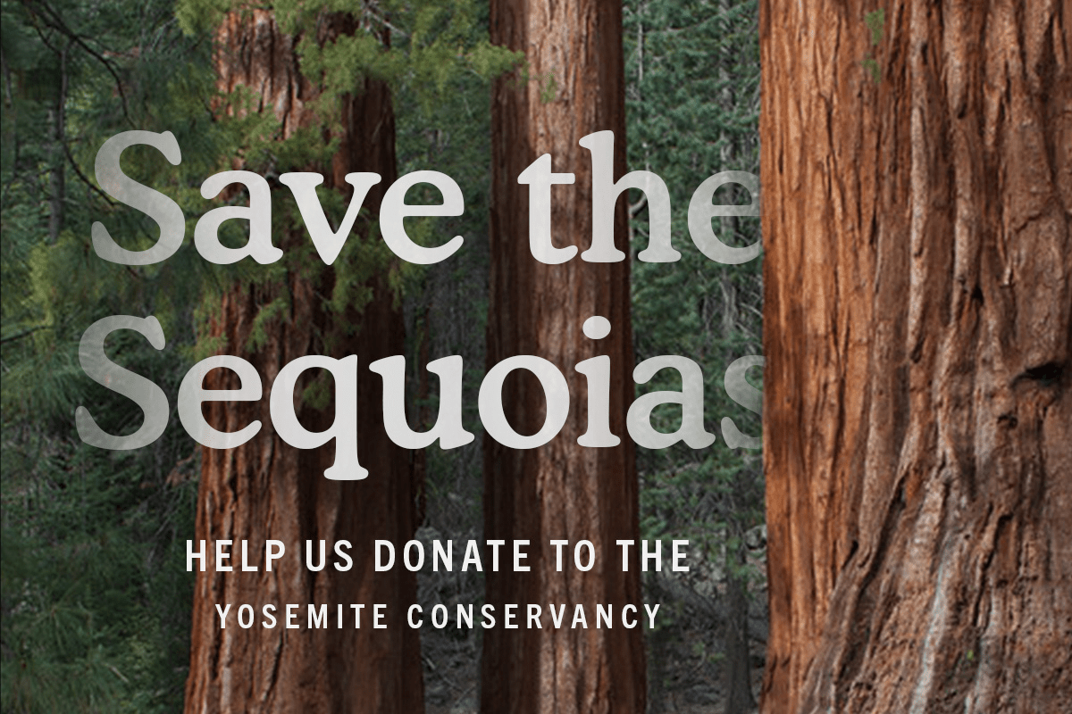 Save the Sequoias: Helping Preserve Yosemite National Park - Elakai Outdoor
