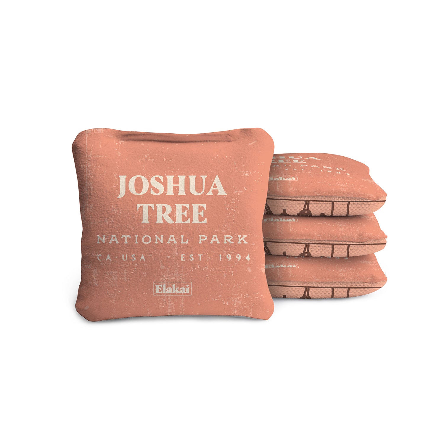 1ft x 2ft Joshua Tree Compact Travel Cornhole Board Set