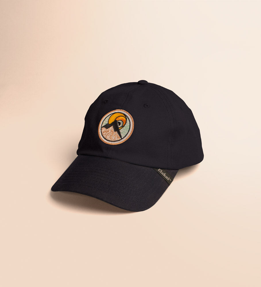 Navy Baseball Snapback Hat